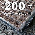 カネコ種苗オリジナル固化培土 コカピー【200穴】カーネーション用(10枚入り)
