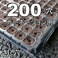 コカピー【200穴】カーネーション用(10枚入り)|カネコ種苗オリジナル固化培土|苗の生産効率が向上!特殊製法で固めたプラグ用土