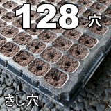 コカピー【128穴】(10枚入り)｜カネコ種苗オリジナル固化培土｜苗の生産効率が向上！特殊製法で固めたプラグ用土