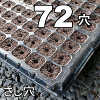 コカピー【72穴】(10枚入り) カネコ種苗オリジナル固化培土｜苗の生産効率が向上！特殊製法で固めたプラグ用土