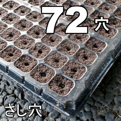 カネコ種苗オリジナル固化培土　コカピー【72穴】(10枚入り)