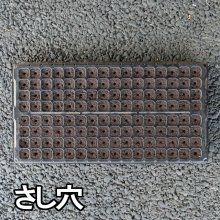 詳細写真1: コカピー【200穴】(10枚入り)｜カネコ種苗オリジナル固化培土｜苗の生産効率が向上！特殊製法で固めたプラグ用土