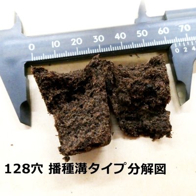カネコ種苗オリジナル固化培土 コカピー【128穴】(10枚入り)