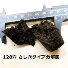 詳細写真3: コカピー【200穴】カーネーション用(10枚入り)|カネコ種苗オリジナル固化培土|苗の生産効率が向上!特殊製法で固めたプラグ用土