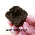 カネコ種苗オリジナル固化培土 コカピー【128穴】(10枚入り)