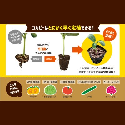 カネコ種苗オリジナル固化培土　コカピー【128穴】(10枚入り)