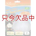 [値下げ]ジャンボニンニク【2芽（2片）】種ニンニク/リーキ｜エレファントガーリック｜カネコ種苗