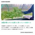 --微生物の力-- 生きてる肥料【1L】