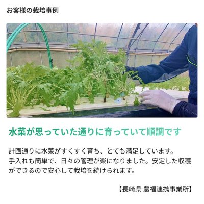--微生物の力-- 生きてる肥料【1L】