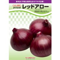 [予約受付中・発送は2026年7月以降]極早生タマネギ｜レッドアロー【15球入り】食味よく甲高な極早生赤タマネギ品種｜カネコ種苗育成※単独注文でお願いします
