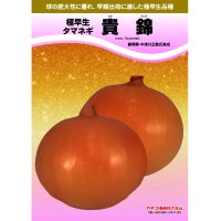 [予約受付中・発送は2026年7月以降] 極早生タマネギ｜貴錦（たかにしき）※単独注文でお願いします