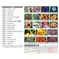 【景観用種子】カネコ アソートミックス《草丈40-60cm》【200g/100平方ｍ用】カネコ種苗ワイルドフラワー