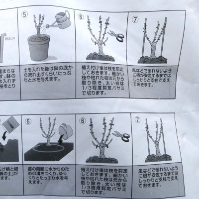 薔薇の土（バラの土）【16L】シュートの出やすい成分をプラス