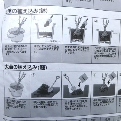 薔薇の土（バラ専用用土）【バットグアノ・ゼオライト配合】