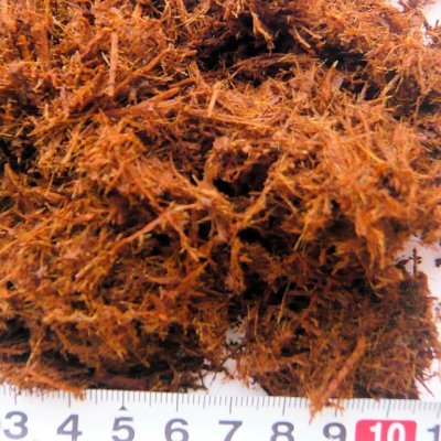 クリプトモス「天然樹皮培養土」【100L】【S粒】