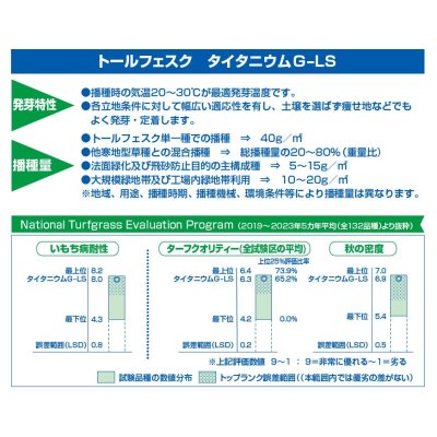 トールフェスク タイタニウムGLS（Lateral Spread）