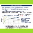 ポリサルフェイト