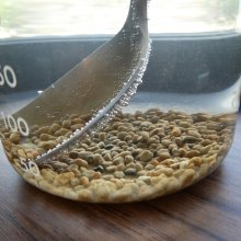 詳細写真2: 日向かる石【細粒・18L】宮崎県都城産ひゅうが軽石｜無菌ボラ土｜メダカ底床、永田農法に最適
