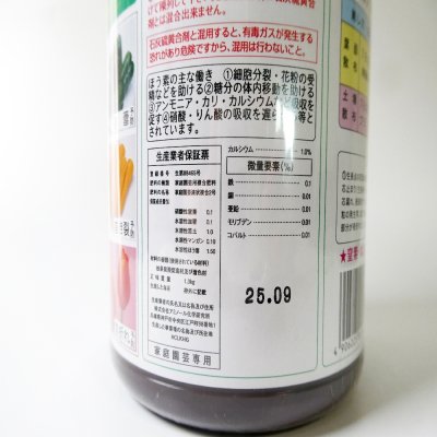 エバホウソ1200cc