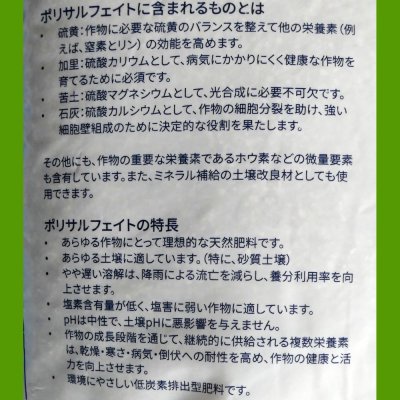 ポリサルフェイト