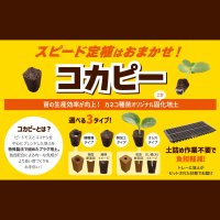 コカピー【50穴・無加工】（10枚入り）カネコ種苗オリジナル固化培土｜苗の生産効率が向上！特殊製法で固めたプラグ用土