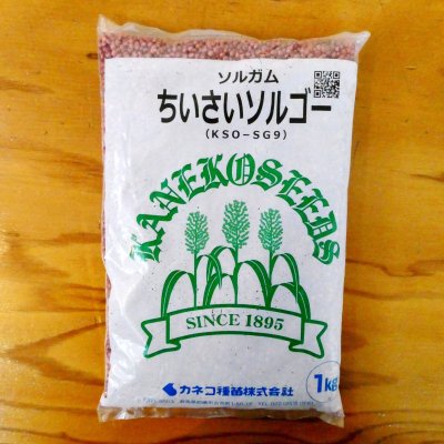 ちいさいソルゴー