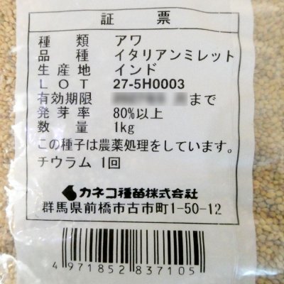 イタリアンミレット