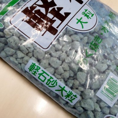 軽石-大粒