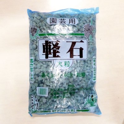 軽石-大粒