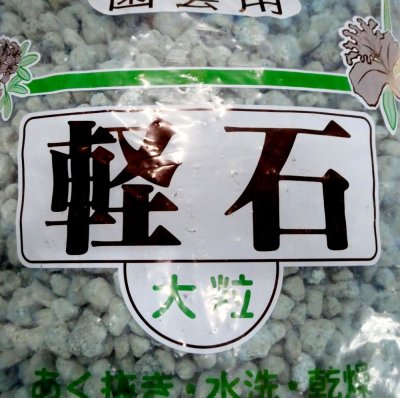 軽石-大粒
