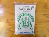 [新発売]【牧草・緑肥種子】ソルガム｜ちいさいソルゴー【1kg】イネ科｜防風｜カネコ種苗製