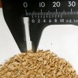 竹王【15kg】