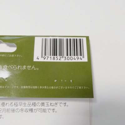 極早生タマネギ　貴錦15球入り