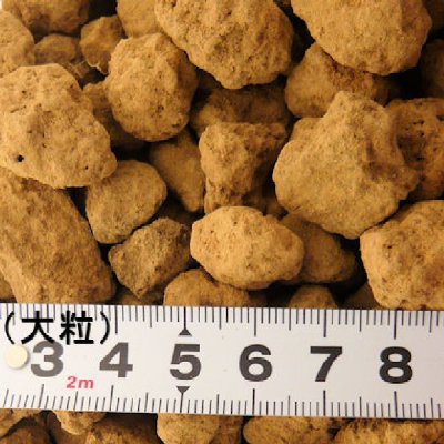 栃木県産《上質》赤玉土 大粒