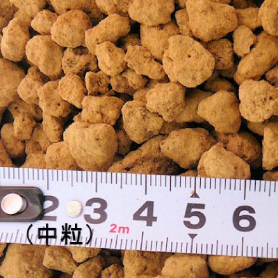 栃木県産《上質》赤玉土 中粒