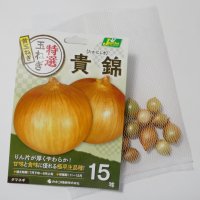 極早生タマネギ｜貴錦（たかにしき）【15球入り】静岡県・中津川正数氏育成