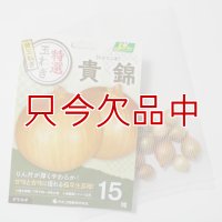 [値下げ]極早生タマネギ｜貴錦（たかにしき）【15球入り】静岡県・中津川正数氏育成