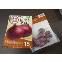 [値下げ]極早生タマネギ｜レッドアロー【15球入り】食味よく甲高な極早生赤タマネギ品種｜カネコ種苗育成