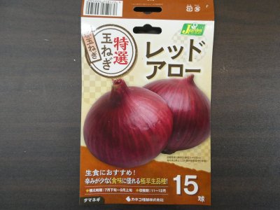 極早生タマネギ　レッドアロー15球入り