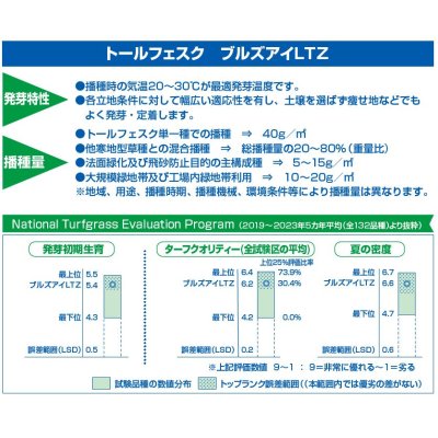 トールフェスクブルズアイLTZ