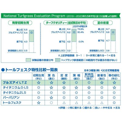 トールフェスクブルズアイLTZ