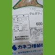 画像12: タフグリーン【1.5L】暑さ寒さに強い西洋芝 ｜Ｊ・ガーデングラス｜カネコ種苗 (12)