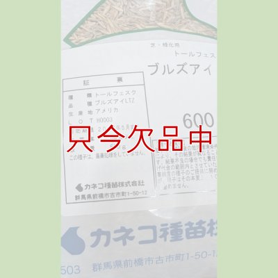 画像12: タフグリーン【1.5L】暑さ寒さに強い西洋芝 ｜Ｊ・ガーデングラス｜カネコ種苗