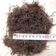 詳細写真1: pH未調整【長繊維】北海道産ピートモス（50L）
