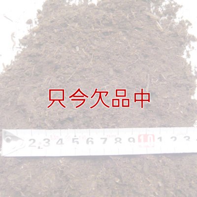 pH未調整【短繊維】北海道産ピートモス【50L】