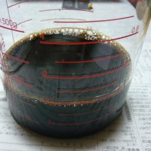 詳細写真1: 元気くん（N5.5-P8.5-K5.0）【1L / 1.2kg】植物系有機配合液体肥料