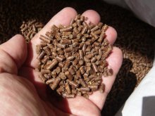 詳細写真1: [値下げ]椿油かす【椿油粕】ペレット【20kg】【日祭日の配送・時間指定不可】