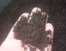 詳細写真1: 発酵牛糞堆肥-土のちから堆肥-【15kg（40L）】
