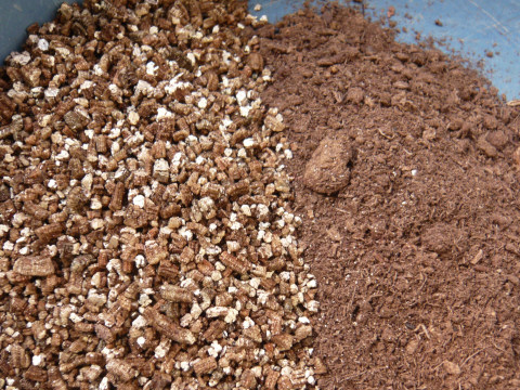 酸度無調整ピートモス 5l ブルーベリーに最適 ピートモス 土壌改良資材 たまごや商店