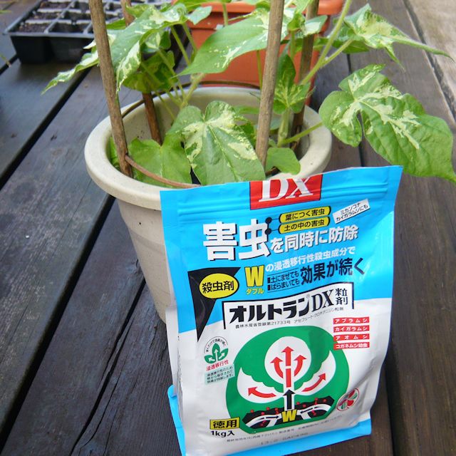 オルトランdx粒剤 1kg 殺菌 殺虫剤 農薬 植物保護 害獣忌避 たまごや商店